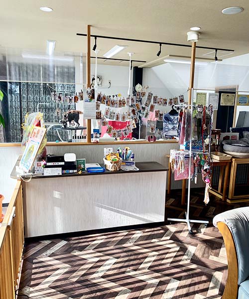 画像の説明 画像の説明